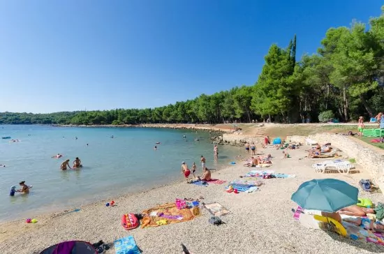 Rovinj a pláž Cuvi 1,3 km pěší chůzí.