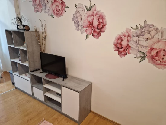 Apartmán Střední Dalmácie - Baška Voda DA 2107 N2