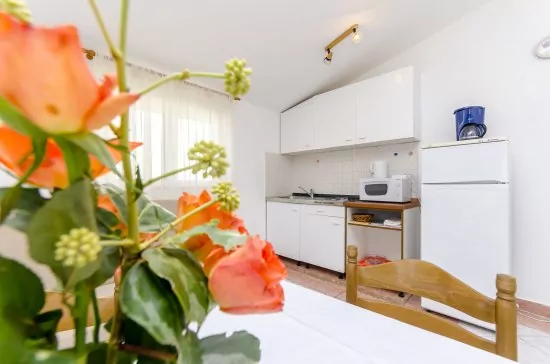 Apartmán Severní Dalmácie - Ražanj DA 3651 N2