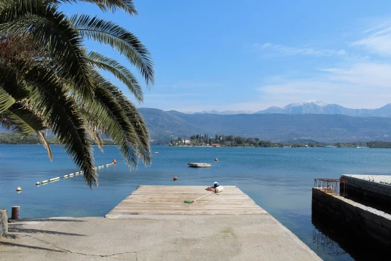 Apartmán Černá Hora - Tivat CH 7000 N2