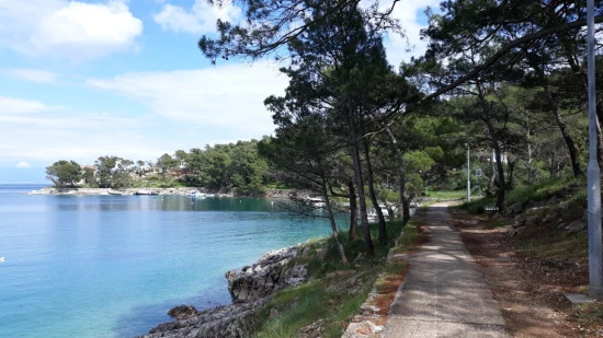 Apartmán Ostrov Lošinj - Mali Lošinj OS 9085 N1