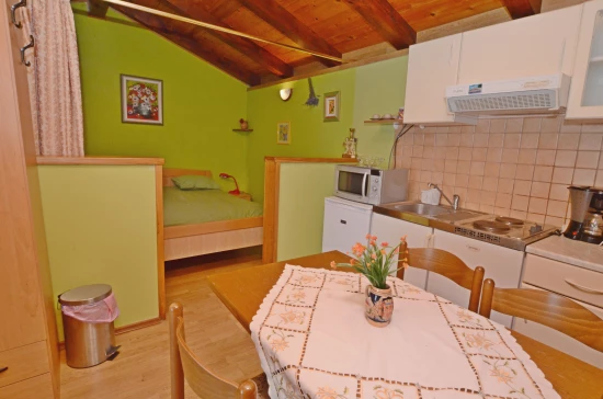 Apartmán Istrie - Kanfanar (Rovinj) IS 7015 N2