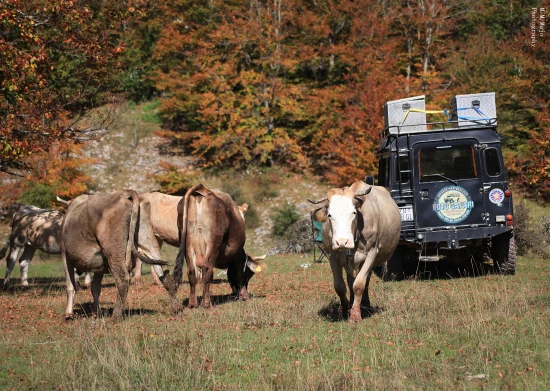 Domek Severní Dalmácie - Starigrad Paklenica DA 7131 N1