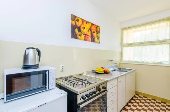 Apartmán Jižní Dalmácie - Dubrovník DA 7179 N1