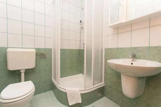 Apartmán Střední Dalmácie - Bratuš DA 7251 N5