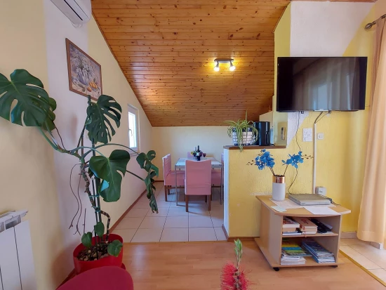 Apartmán Ostrov Krk - Čižići OS 9374 N2