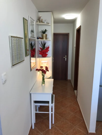 Apartmán Střední Dalmácie - Split DA 7429 N1