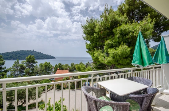 Apartmán Ostrov Korčula - Brna OS 9562 N1