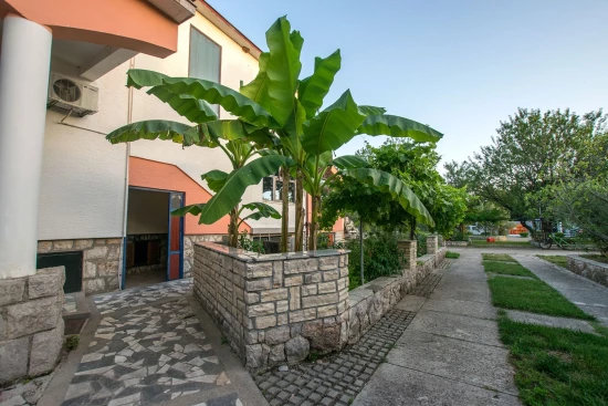 Apartmán Severní Dalmácie - Starigrad Paklenica DA 7522 N1