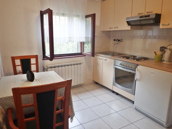 Apartmán Severní Dalmácie - Starigrad Paklenica DA 7523 N5