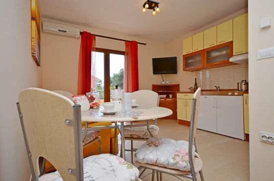 Apartmán Severní Dalmácie - Zablaće DA 7592 N1