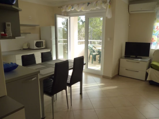 Apartmán Severní Dalmácie - Starigrad Paklenica DA 7646 N1