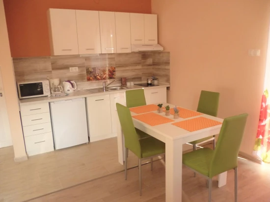 Apartmán Severní Dalmácie - Starigrad Paklenica DA 7709 N1