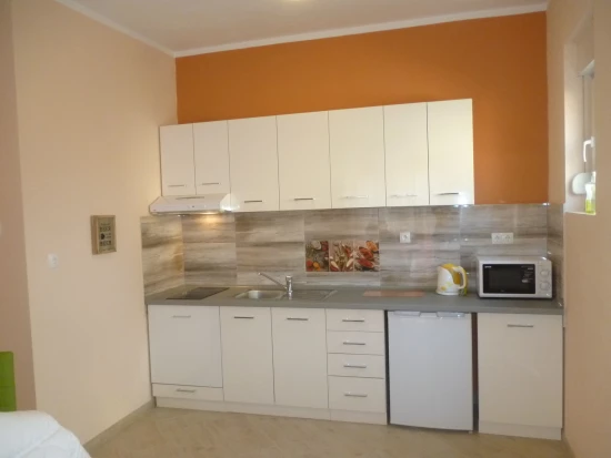 Apartmán Severní Dalmácie - Starigrad Paklenica DA 7709 N2