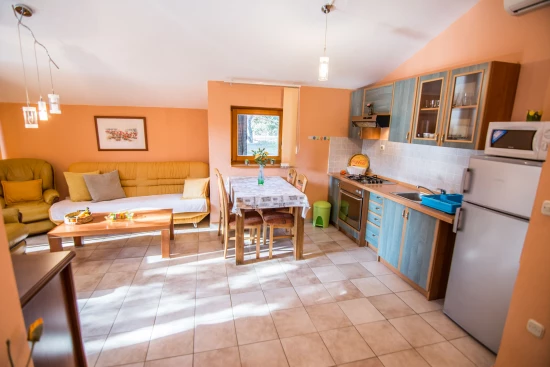 Apartmán Severní Dalmácie - Biograd na Moru DA 7746 N1