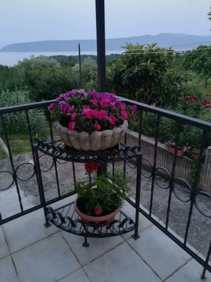 Apartmán Kvarner - Mošćenička Draga KV 7314 N1