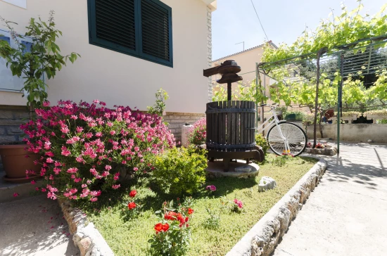 Apartmán Severní Dalmácie - Vodice DA 7888 N1