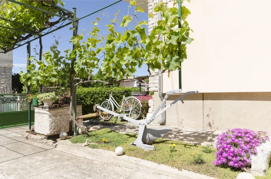 Apartmán Severní Dalmácie - Vodice DA 7888 N1