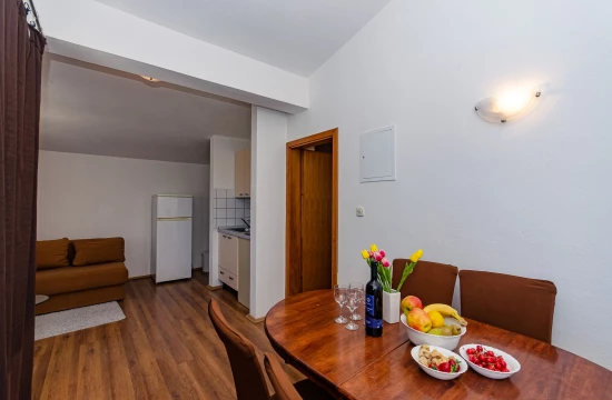 Apartmán Jižní Dalmácie - Putnikovići DA 7928 N2