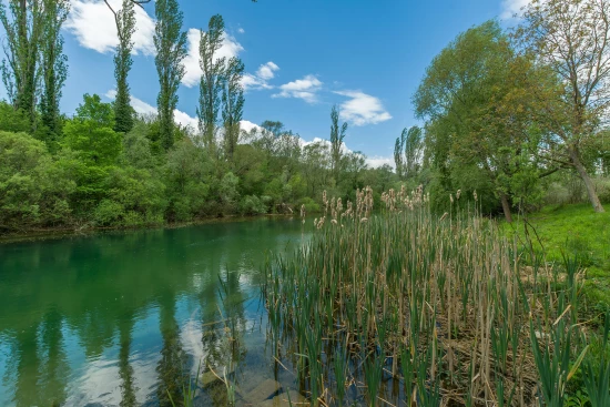 Domek Střední Dalmácie - Blato na Cetini (Omiš) DA 7936 N1