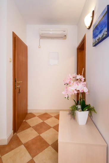 Apartmán Jižní Dalmácie - Klek DA 7944 N2