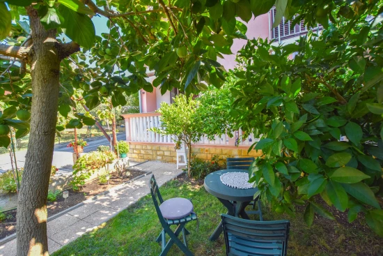 Apartmán Severní Dalmácie - Sveti Filip i Jakov (Biograd) DA 7959 N3