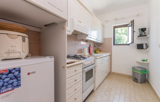 Apartmán Severní Dalmácie - Biograd na Moru DA 7985 N1