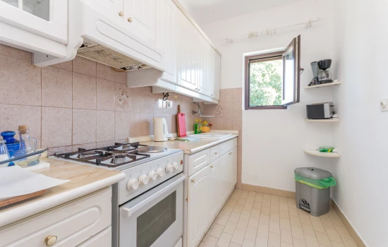 Apartmán Severní Dalmácie - Biograd na Moru DA 7985 N1