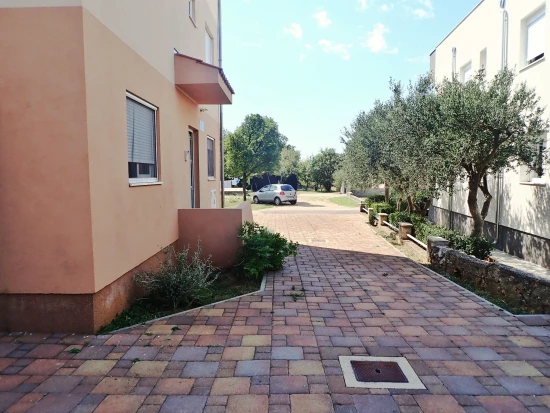 Apartmán Severní Dalmácie - Starigrad Paklenica DA 7987 N1