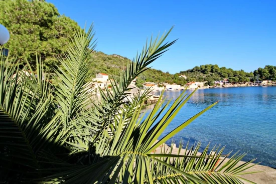 Apartmán Ostrov Mljet - Okuklje OS 9965 N1