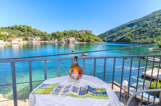 Apartmán Ostrov Mljet - Okuklje OS 9965 N1