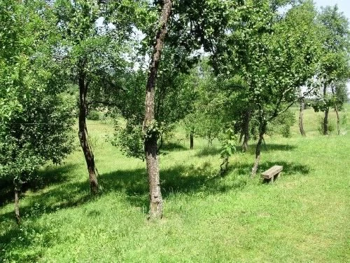 Apartmán Kvarner - Rakovica (Plitvická jezera) KV 7487 N1