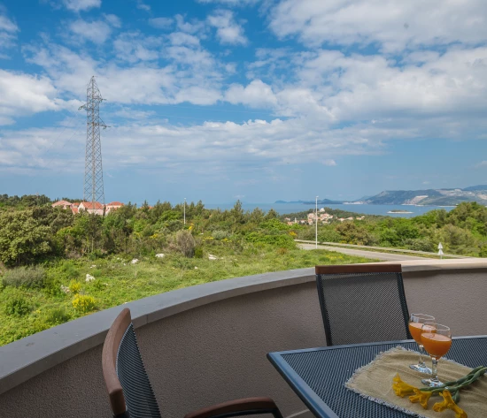 Apartmán Jižní Dalmácie - Cavtat (Dubrovník) DA 8028 N3