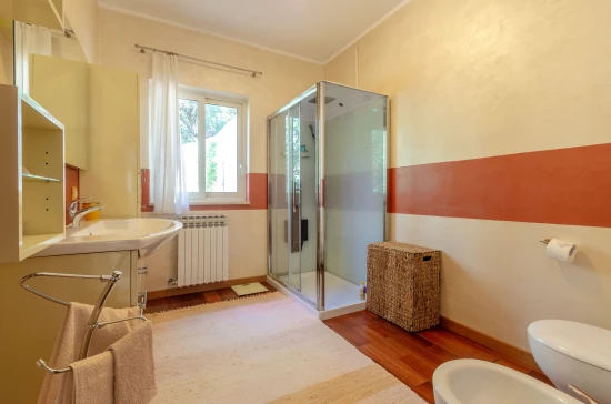 Apartmán Střední Dalmácie - Blato DA 8030 N1