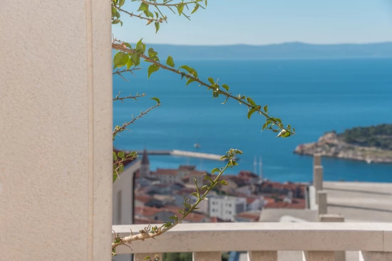 Apartmán Střední Dalmácie - Makarska DA 8048 N1