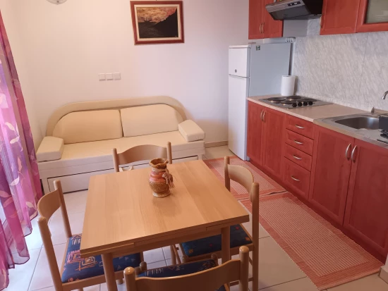 Apartmán Severní Dalmácie - Pakoštane DA 8117 N1