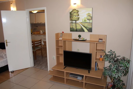 Apartmán Severní Dalmácie - Šibenik DA 8161 N1