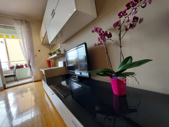 Apartmán Střední Dalmácie - Makarska DA 8179 N1