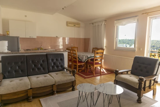 Apartmán Střední Dalmácie - Makarska DA 8206 N1