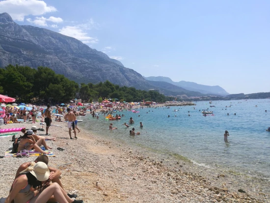 Apartmán Střední Dalmácie - Makarska DA 8206 N1