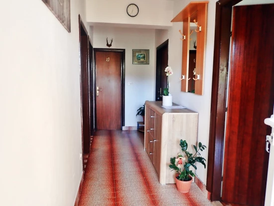 Apartmán Severní Dalmácie - Starigrad Paklenica DA 8313 N1