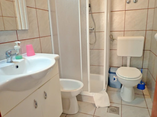 Apartmán Severní Dalmácie - Rovanjska (Seline) DA 8318 N2