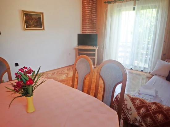 Apartmán Severní Dalmácie - Seline DA 8332 N1