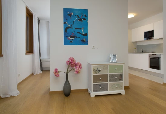 Apartmán Střední Dalmácie - Split DA 8343 N1