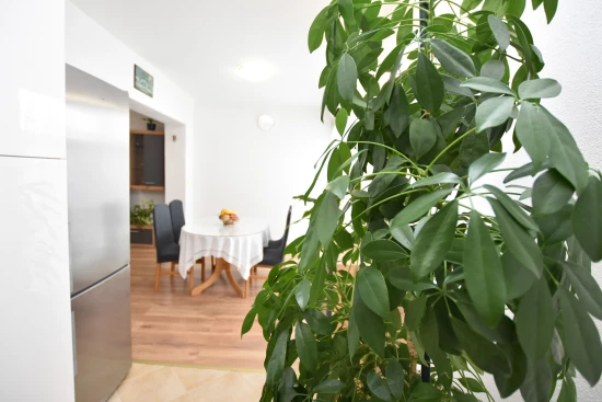 Apartmán Severní Dalmácie - Primošten DA 8388 N1