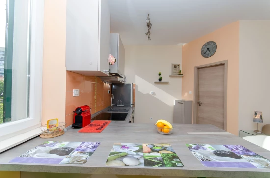 Apartmán Střední Dalmácie - Split DA 8417 N1