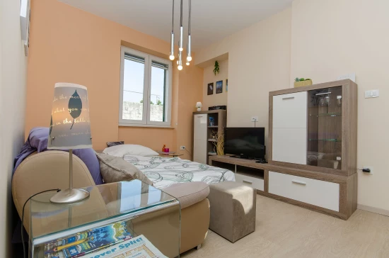 Apartmán Střední Dalmácie - Split DA 8417 N1