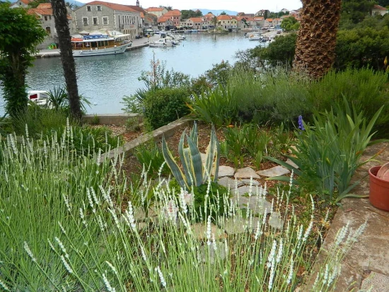 Apartmán Ostrov Hvar - Vrboska OS 10278 N4