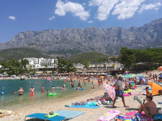 Apartmán Střední Dalmácie - Makarska DA 8456 N2