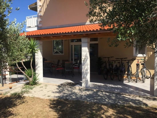 Apartmán Ostrov Korčula - Lumbarda OS 10297 N1